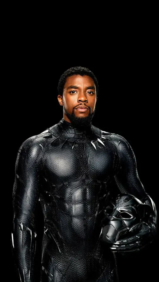 image de Black Panther
                avec son case a la main